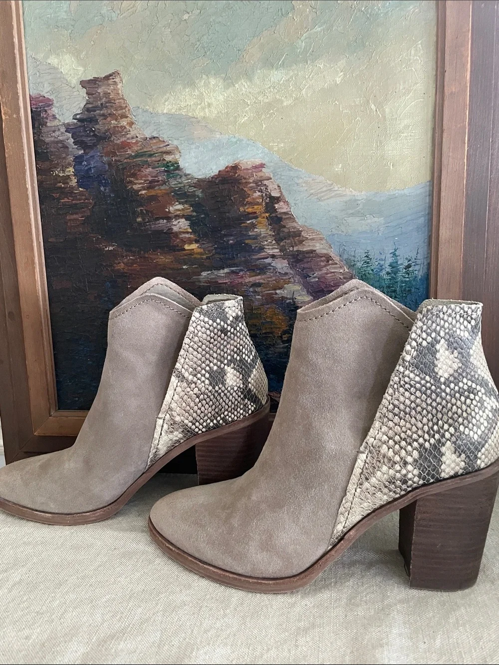 Dolce Vita Taupe Suede Ankle Boots with Snake-Print Accent size 9